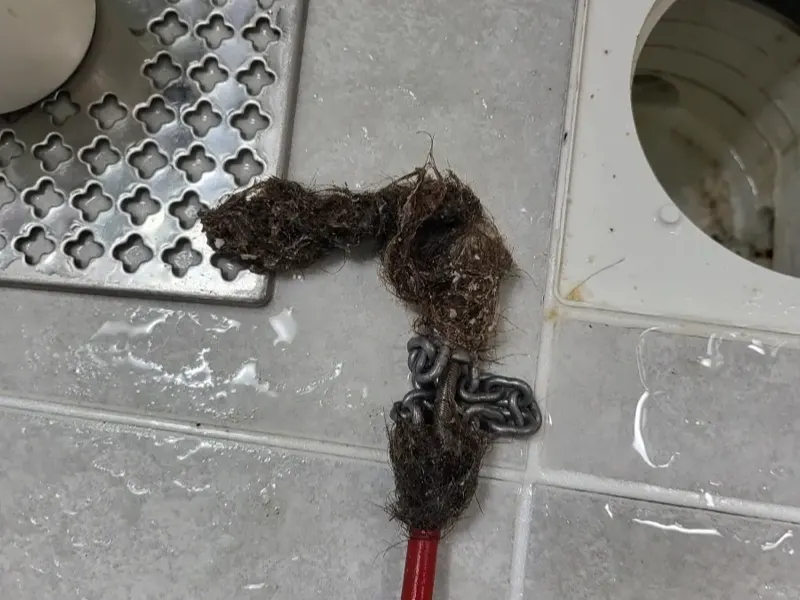 청주 서원구 바닥 배수구에서 끌어낸 머리카락 뭉치