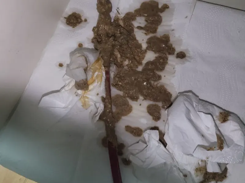 청주 서원구 하수구 냄새 원인과 집에서 먼저 할 일